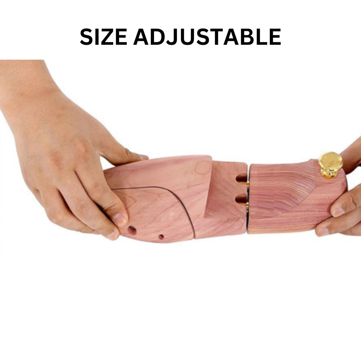 Wedberry x Pro Co Branded Original Cedar Wood Shoe Tree